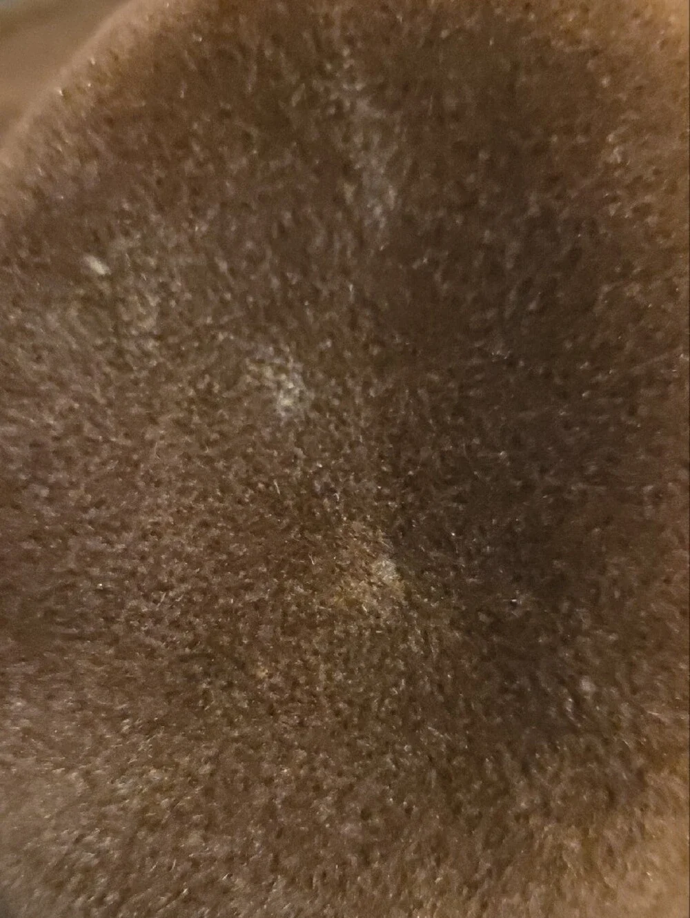 Vintage Classic Brown Wool Cloche Hat